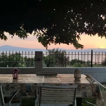 Enjoy The Garden By The Beach