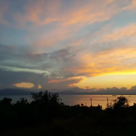 Enjoy The Garden By The Beach *